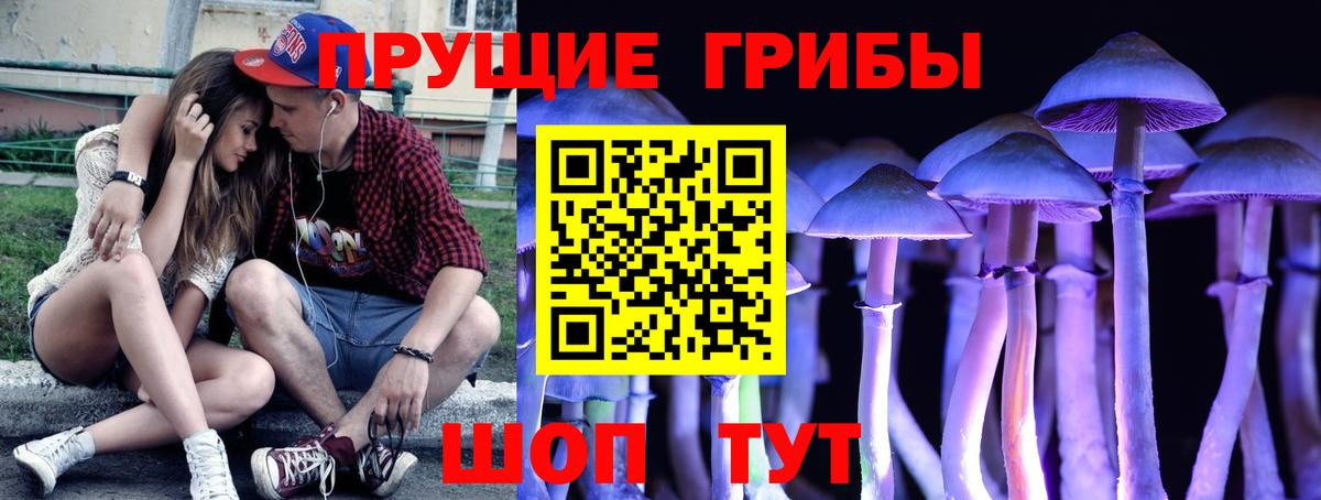 Псилоцибиновые грибы Cubensis  Вход с VPN  Солнечногорск 